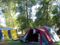 BIG4 Forbes Holiday Park - Tourism Guide 2