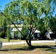 Blue Topaz Caravan Park  Camping Ground - Tourism Guide