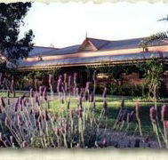 Bluebush Estate - Tourism Guide