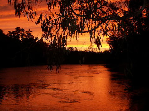 Cadell On The Murray Motel Resort - Tourism Guide 0