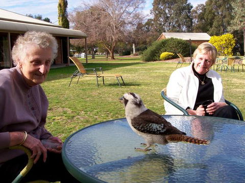 Cadell On The Murray Motel Resort - Tourism Guide 6