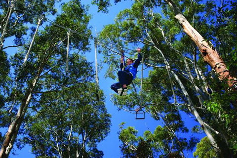 Cedar Creek Lodges At Thunderbird Park™ - Tourism Guide 2
