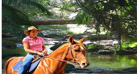 Cedar Creek Lodges At Thunderbird Park™ - Tourism Guide 7
