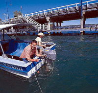 Comfort Inn Mandurah - Tourism Guide