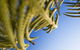 Crowne Plaza Terrigal - thumb 8
