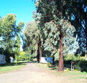 Cudal Caravan Park - Tourism Guide