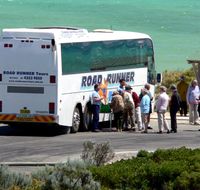 Palmers Leisure Tours - Cruises Travel
