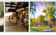 Lazy Lizard Tavern & Caravan Park - thumb 5