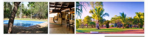 Lazy Lizard Tavern & Caravan Park - Tourism Guide 5