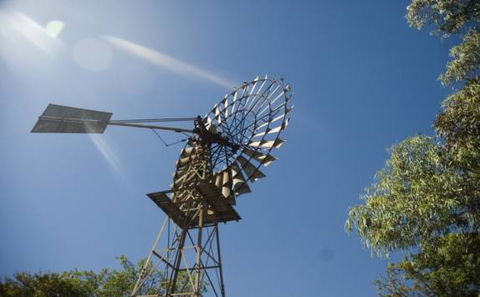Lazy Lizard Tavern & Caravan Park - Tourism Guide 7