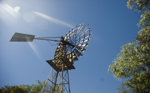 Lazy Lizard Tavern & Caravan Park - Tourism Guide 2