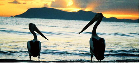 Cairns Beaches Affordable Holiday Accommodation - Tourism Guide 4