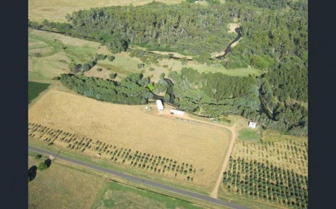 Owner - Travel Agents 0