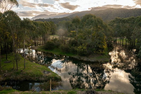 Owner - Travel Agents 2