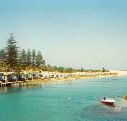 Dunleith Tourist Park - Tourism Guide