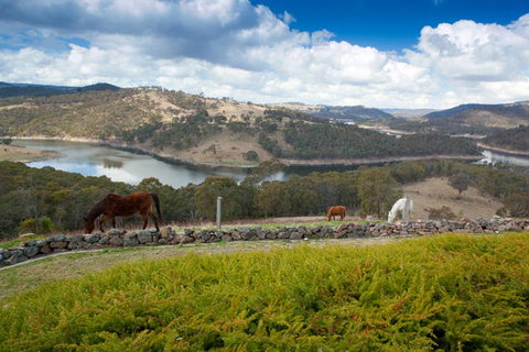 Eagle View Escape - Tourism Guide 0