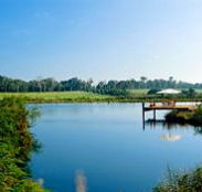 Forest Rise Eco Retreat - Tourism Guide