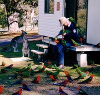 Inland Waters Holiday Parks Burrinjuck - Tourism Guide