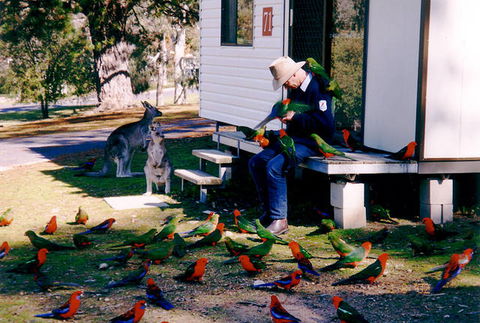 Inland Waters Holiday Parks Burrinjuck - Tourism Guide 0