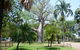 Kimberleyland Waterfront Holiday Park - thumb 3