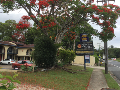 Murwillumbah Gallery Motel - Tourism Guide 14