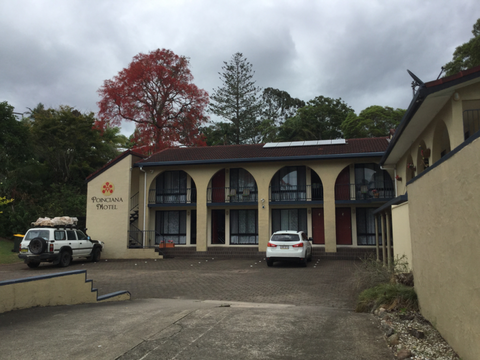 Murwillumbah Gallery Motel - Tourism Guide 21