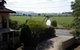 Murwillumbah Gallery Motel - thumb 0