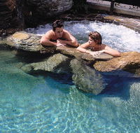 Reef Palms - Cruises Travel
