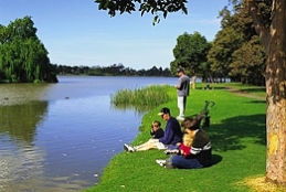 Sale Motor Village - Tourism Guide 0