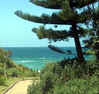 Seashells Beachfront Resort - Tourism Guide
