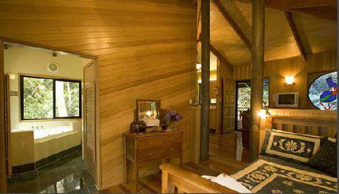 Springbrook Lyrebird Retreat - Cruises Travel 2