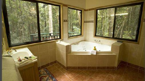 Springbrook QLD Travel Search