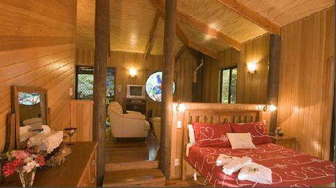 Springbrook Lyrebird Retreat - Cruises Travel 4