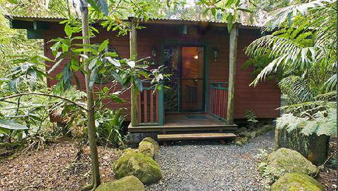 Springbrook Lyrebird Retreat - Cruises Travel 5