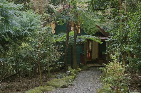 Springbrook Lyrebird Retreat - Cruises Travel 7