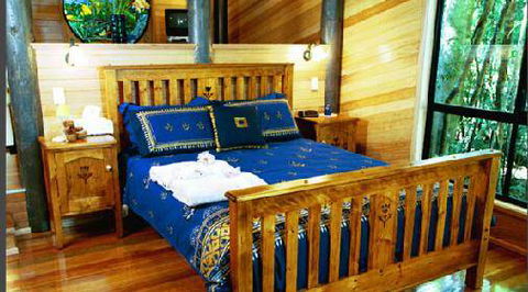 Springbrook Lyrebird Retreat - Cruises Travel 8