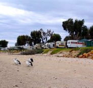 Stansbury Foreshore Caravan Park - Tourism Guide