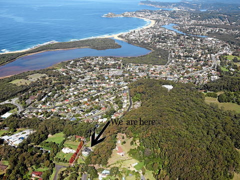 Terrigal Hinterland B&B - Tourism Guide 9