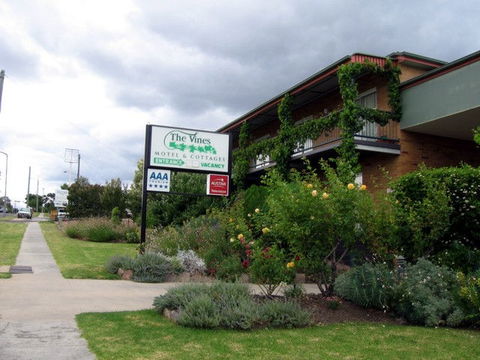 The Vines Motel & Cottages - Cruises Travel 0