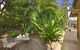 Tiarri Terrigal Apartments - thumb 2