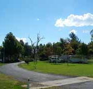 Wairo Beach Holiday Park - Travel Agents