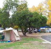 Wedderburn Pioneer Caravan Park - Tourism Guide