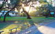 Winbi River Resort - thumb 0