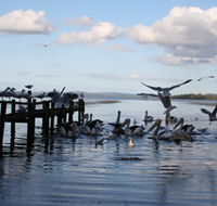 Pelicans At Denmark - Holiday Home - Tourism Guide