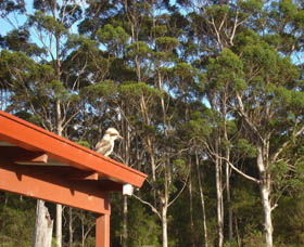 Tinglewood Cabins - Tourism Guide 3
