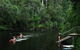 WA Wilderness Catered Camping At Draftys Campsite - thumb 0