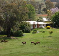 Acacia Park Farm House - Tourism Guide
