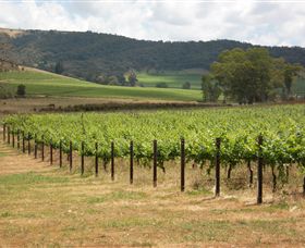 Acacia Park Farm House - Tourism Guide 7