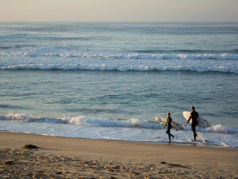 Wairo Beach Holiday Park - Tourism Guide 1