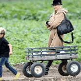 Perth City Farm Organic Markets - Tourism Guide